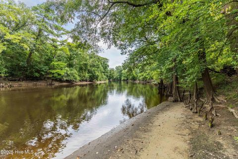 Tiny photo for 16 Croomsbridge Road, Burgaw, NC 28425 (MLS # 100524988)