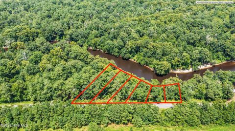 Tiny photo for 16 Croomsbridge Road, Burgaw, NC 28425 (MLS # 100524988)