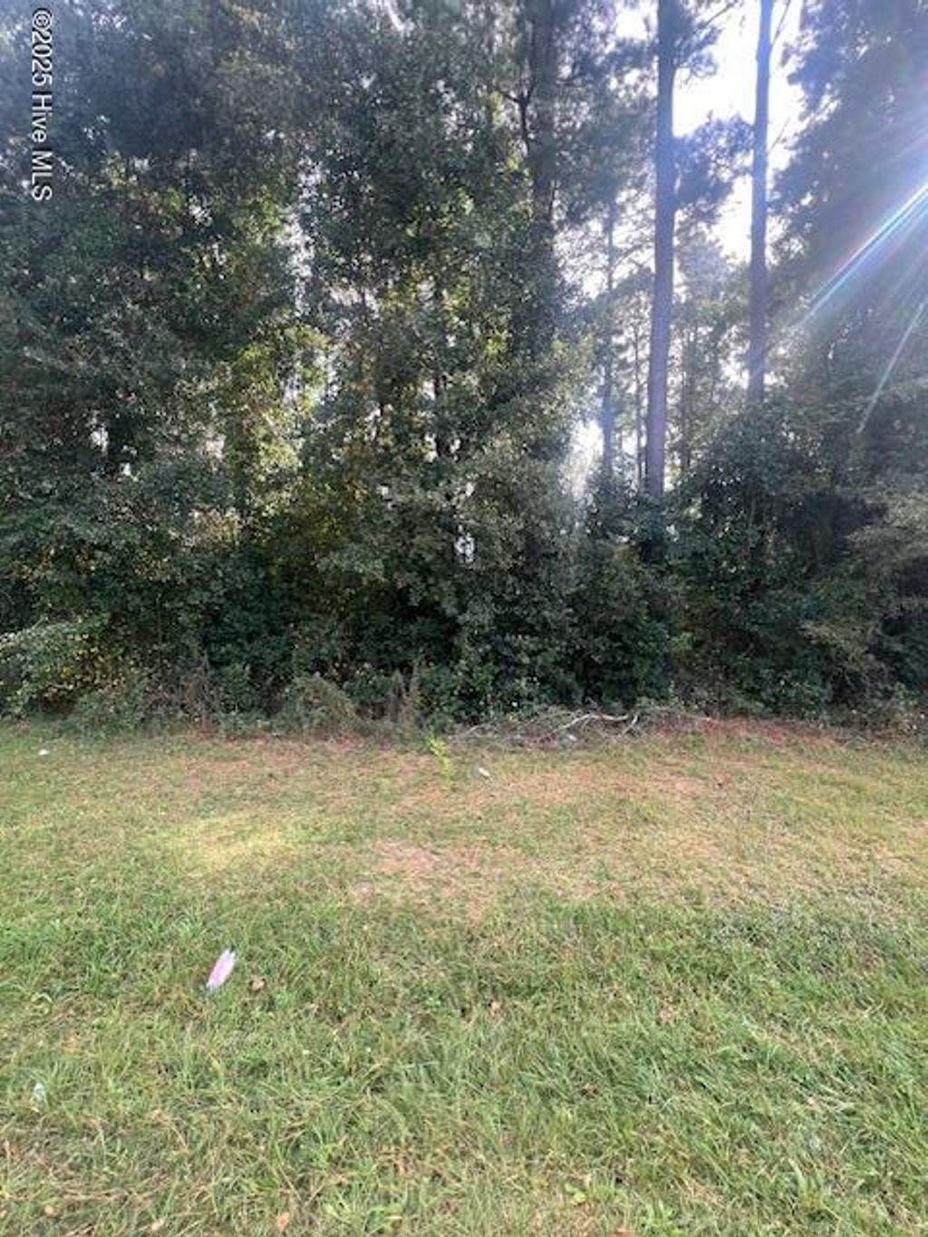 Photo of 5355 Old Maxton Road Road, Laurinburg, NC 28352 (MLS # 100538029)