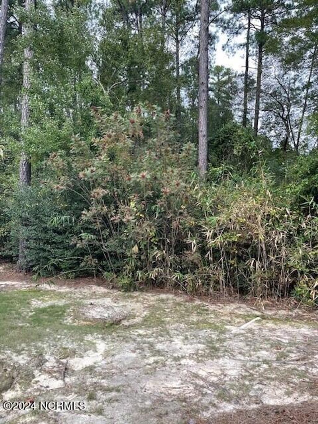 Photo of 5 Raintree Court, Pinehurst, NC 28374 (MLS # 100542981)