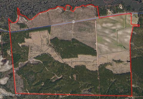 556.18 Ac Nc 210 Hwy Currie NC 28435