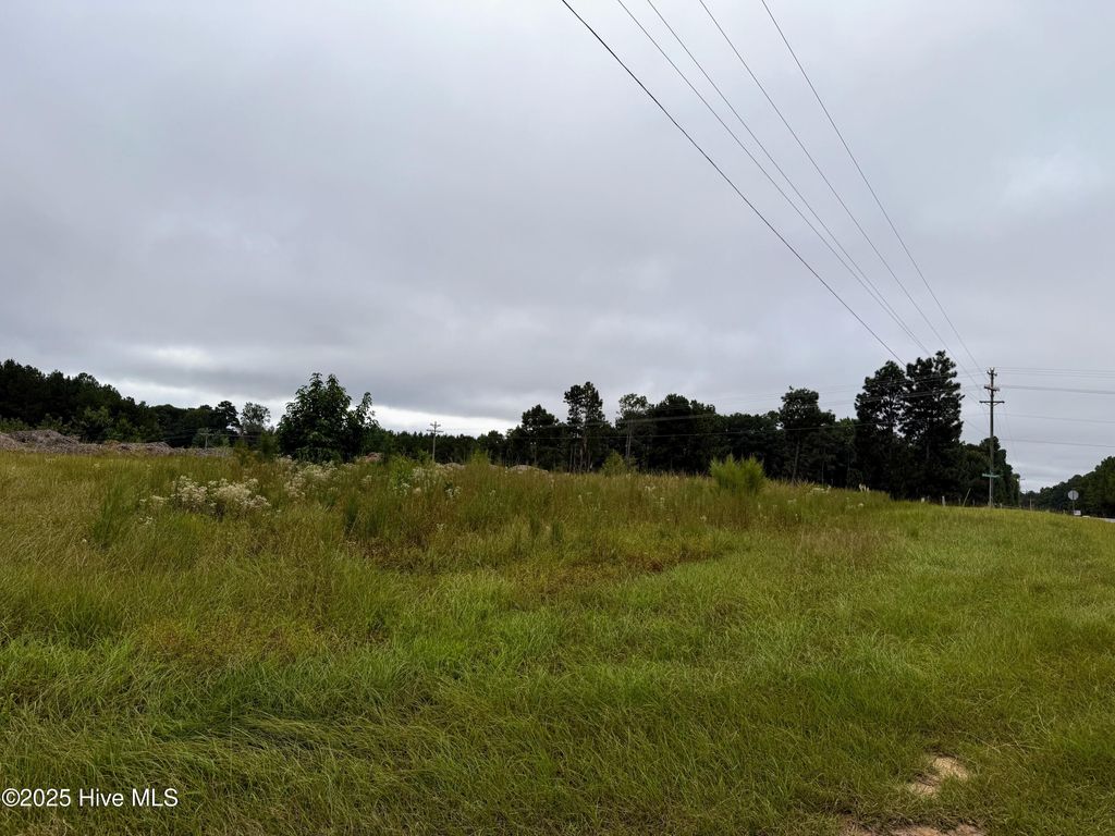 Photo of 4 Doubs Chapel Road, West End, NC 27376 (MLS # 100538794)