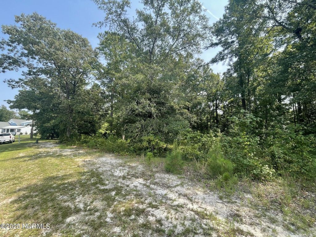 Photo of 3481 Belle Meade Way NE, Leland, NC 28451 (MLS # 100496558)