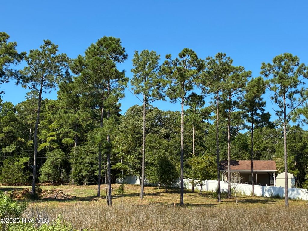 Photo of 2440 Crape Myrtle Court SW, Supply, NC 28462 (MLS # 100531018)