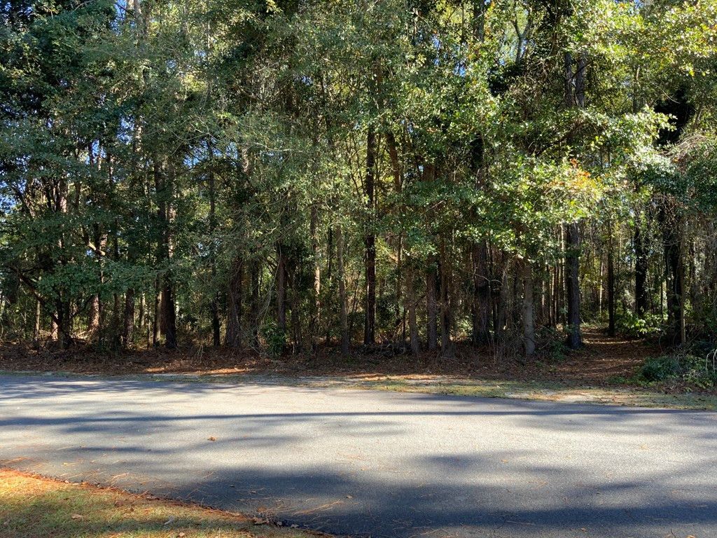 Photo of 106 Deerborn Drive, Goldsboro, NC 27534 (MLS # 100492393)