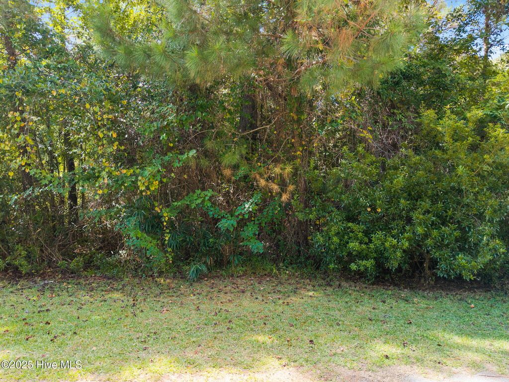 Photo of 2445 Driftwood Acres Drive SW, Supply, NC 28462 (MLS # 100534401)