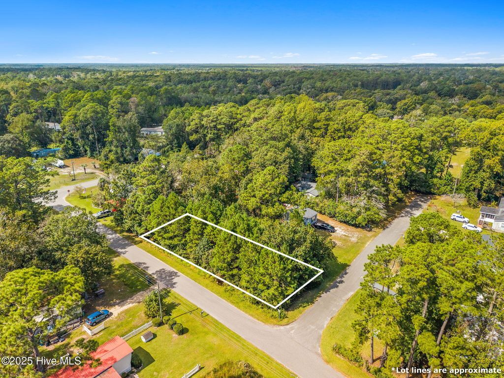 Photo of 2445 Driftwood Acres Drive SW, Supply, NC 28462 (MLS # 100534401)