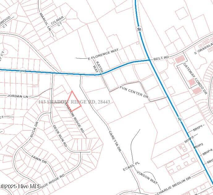 103 Shadow Ridge Road