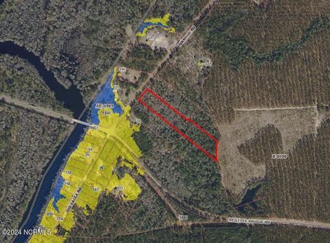 Tiny photo for 561 Ivanhoe Road, Atkinson, NC 28421 (MLS # 100527816)