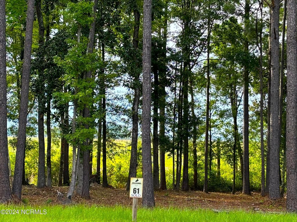 Photo of 1637 Riverview Terrace, Wilmington, NC 28401 (MLS # 100461506)