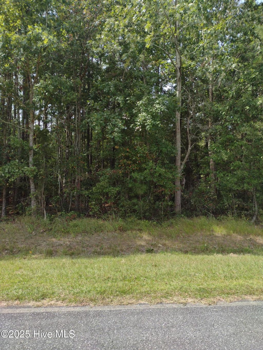 Photo of 33 Pine Crest Road, Bath, NC 27808 (MLS # 100531687)