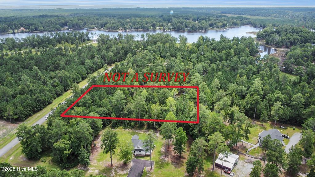 Photo of 44 Shady Creek Road, Oriental, NC 28571 (MLS # 100528386)