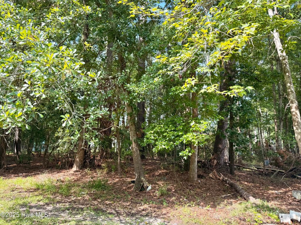 Photo of 2204 Nelson Street, New Bern, NC 28562 (MLS # 100521787)