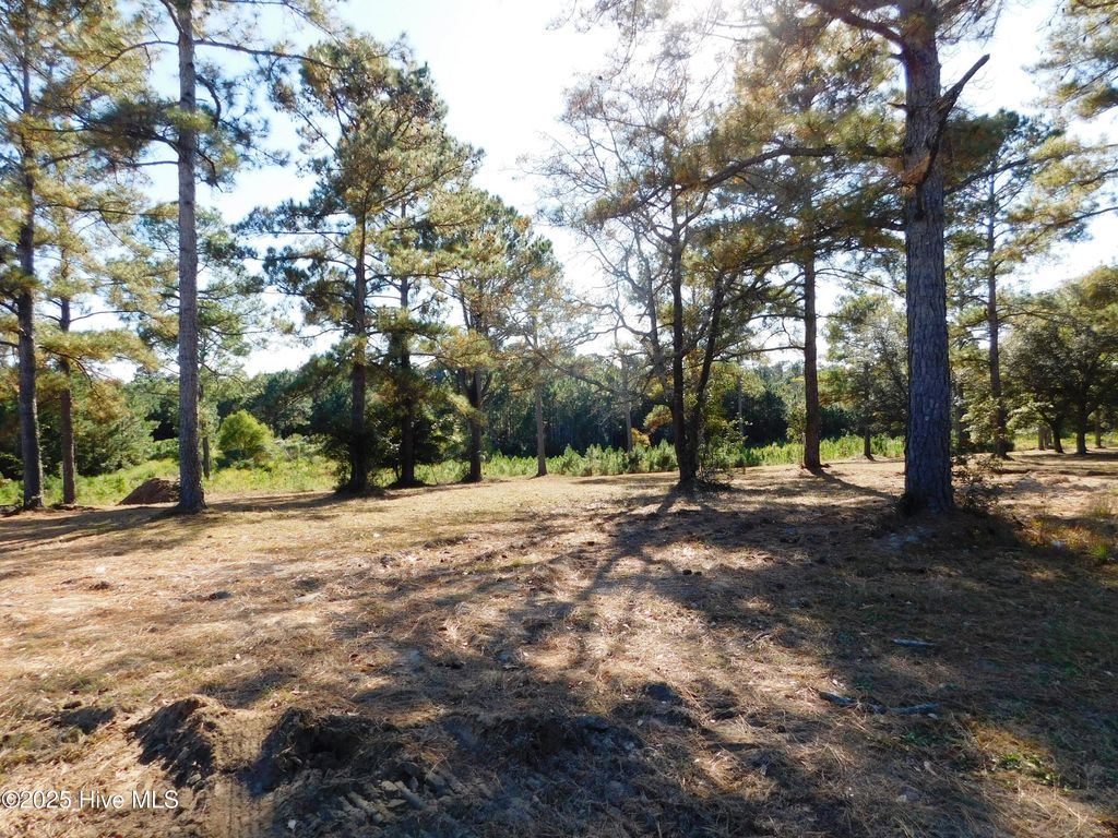 Photo of 7535 Wallace Place SW, Sunset Beach, NC 28468 (MLS # 100542384)