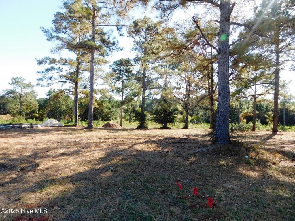 Photo of 7535 Wallace Place SW, Sunset Beach, NC 28468 (MLS # 100542384)