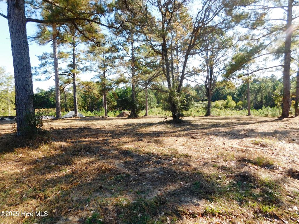 Photo of 7535 Wallace Place SW, Sunset Beach, NC 28468 (MLS # 100542384)