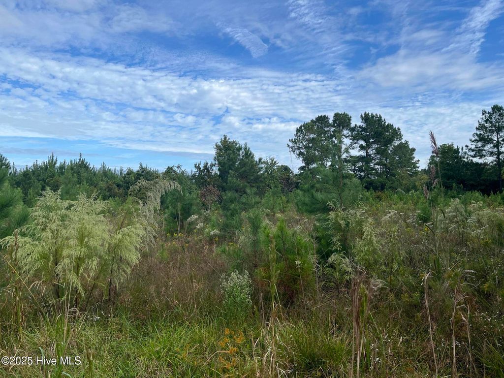 Photo of Tbd Rocky Run Road, Jacksonville, NC 28546 (MLS # 100535014)