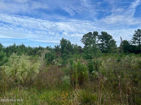 Tiny photo for Tbd Rocky Run Road, Jacksonville, NC 28546 (MLS # 100535014)