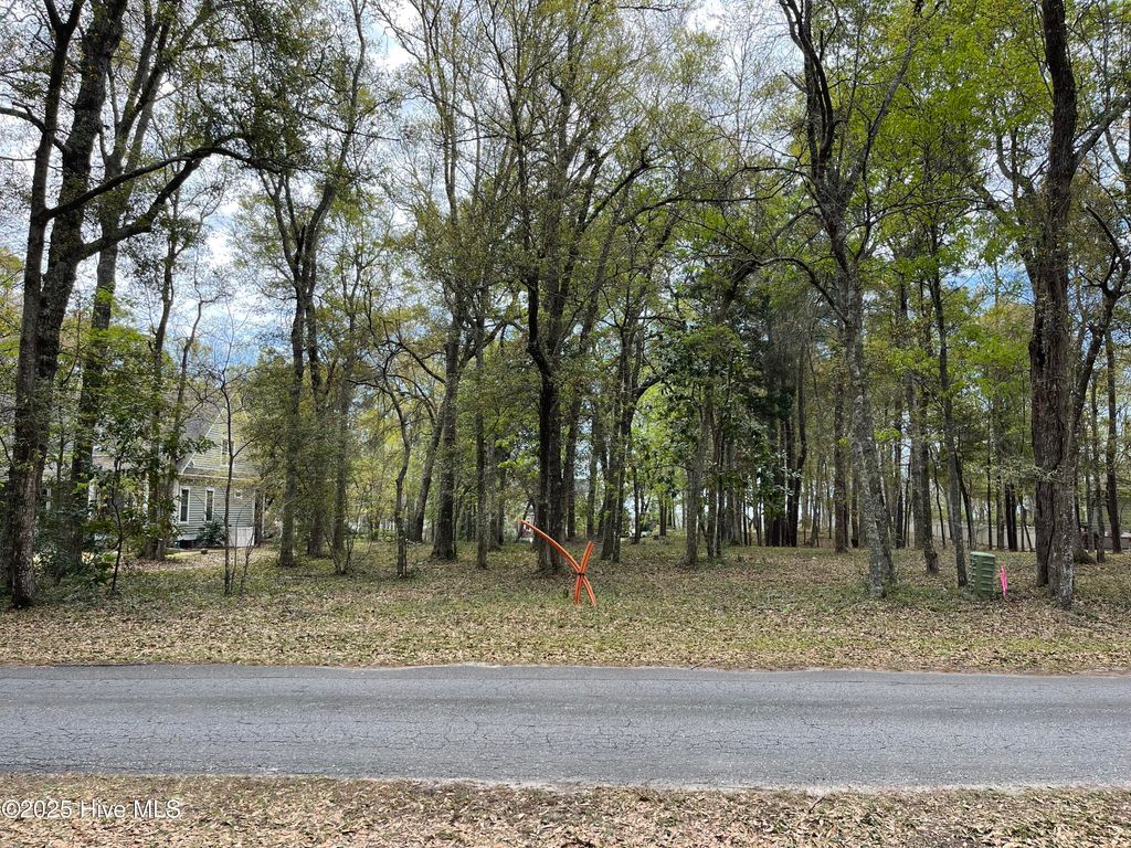 Photo of 9123 Ocean Harbour Golf Club Road, Calabash, NC 28467 (MLS # 100511879)