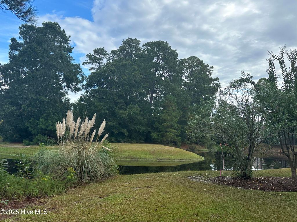 Photo of 555 Blakely Court NW, Calabash, NC 28467 (MLS # 100533193)