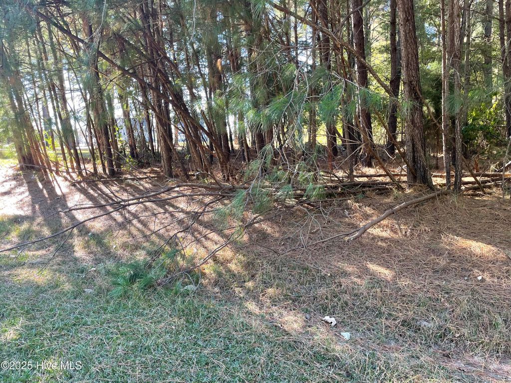 Photo of 10 Bethel Creek Lane, Hertford, NC 27944 (MLS # 100538079)