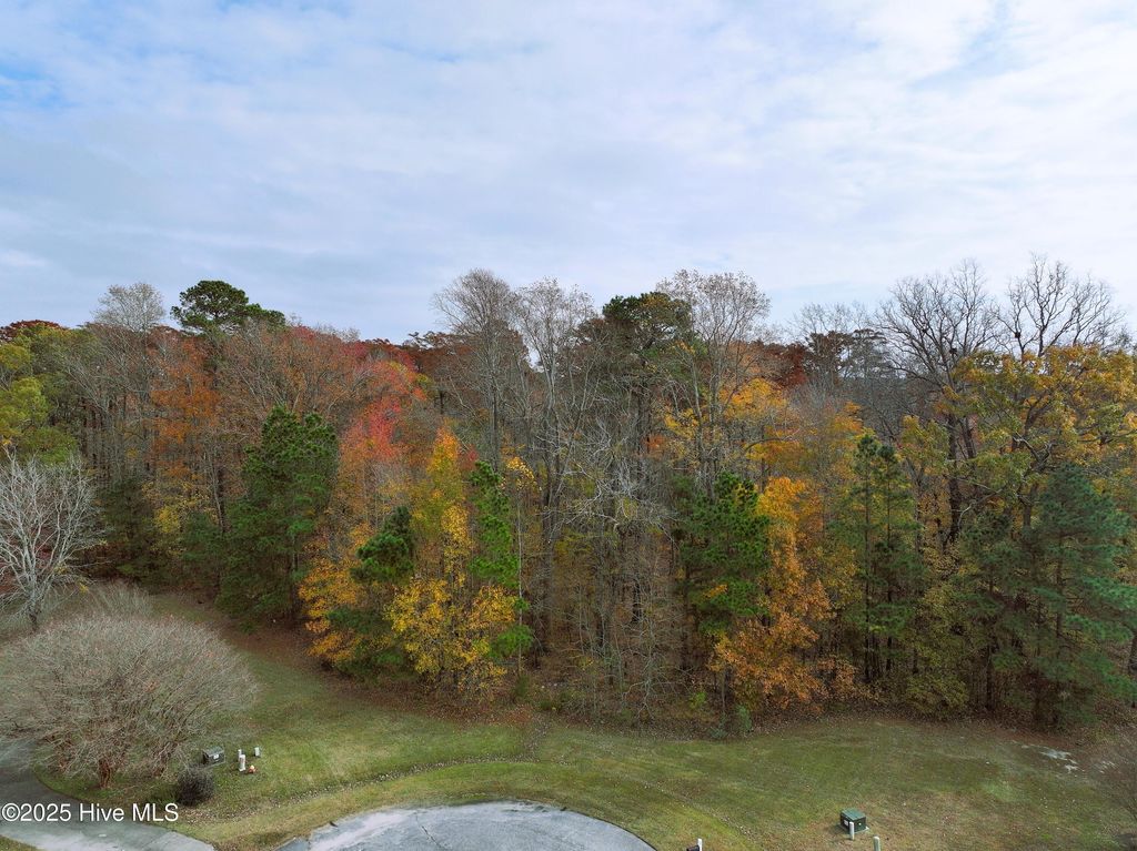 Photo of 6 Riverwood Court, Hertford, NC 27944 (MLS # 100543801)