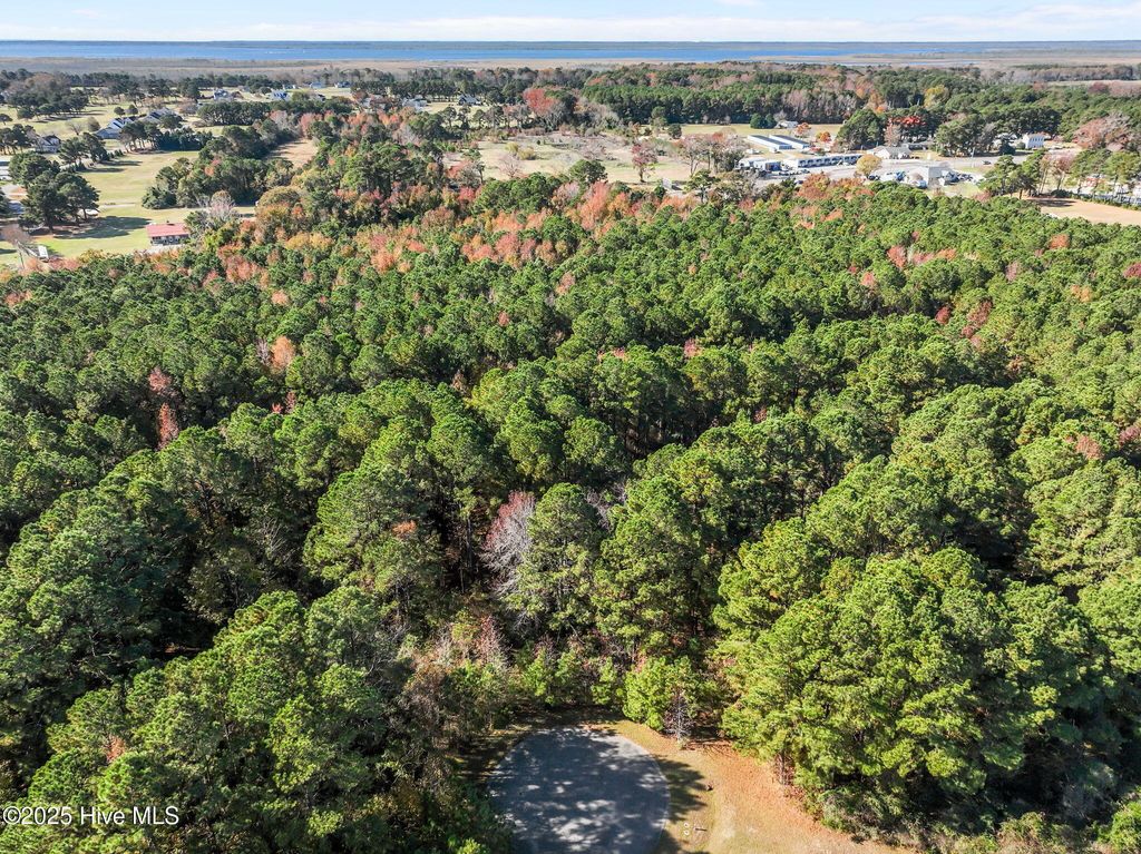 Photo of 110 Betsy Court, Grandy, NC 27939 (MLS # 100543302)