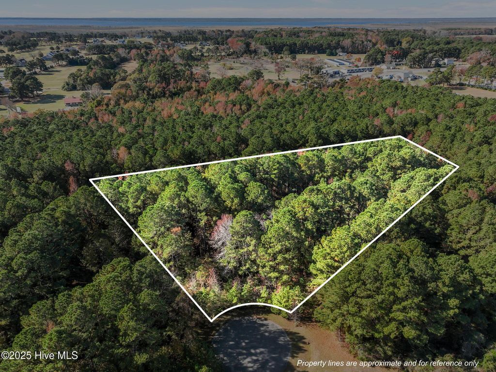 Photo of 110 Betsy Court, Grandy, NC 27939 (MLS # 100543302)