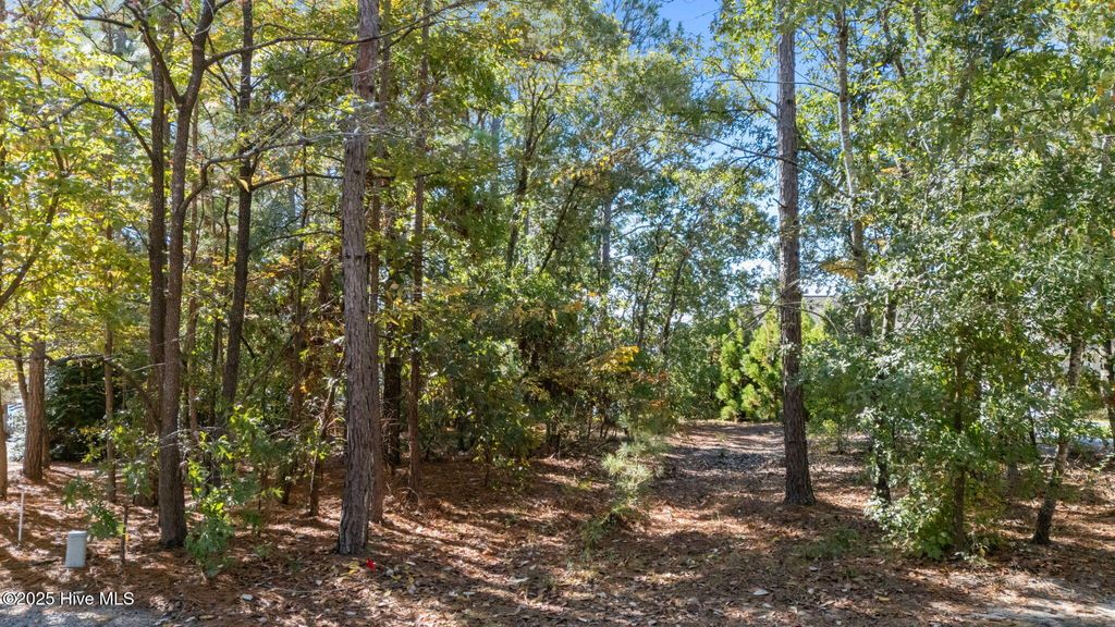 Photo of 121 Owens Circle, West End, NC 27376 (MLS # 100536650)