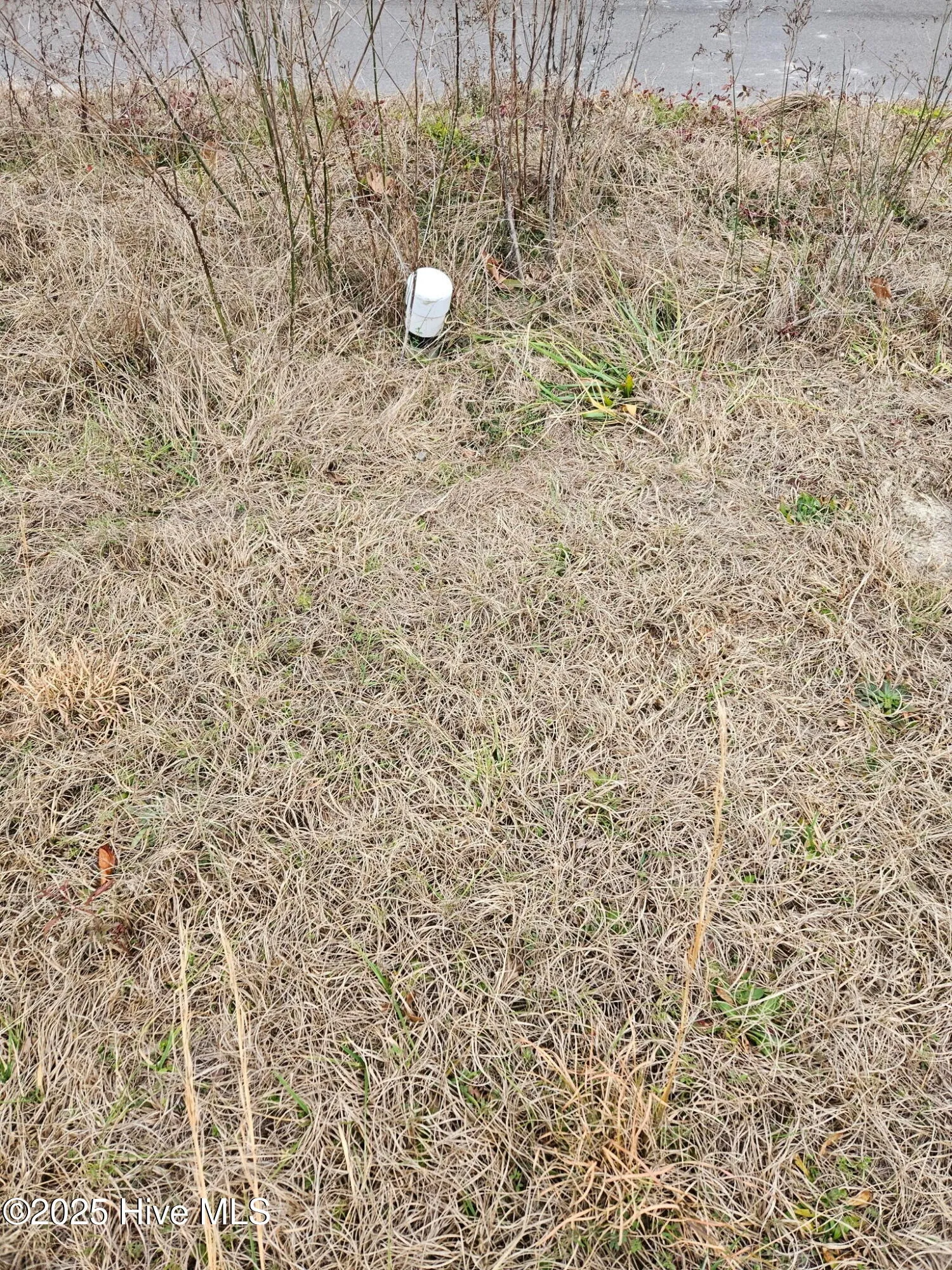 Wilmington, North Carolina 28405, United States, ,Land,Pending,7875