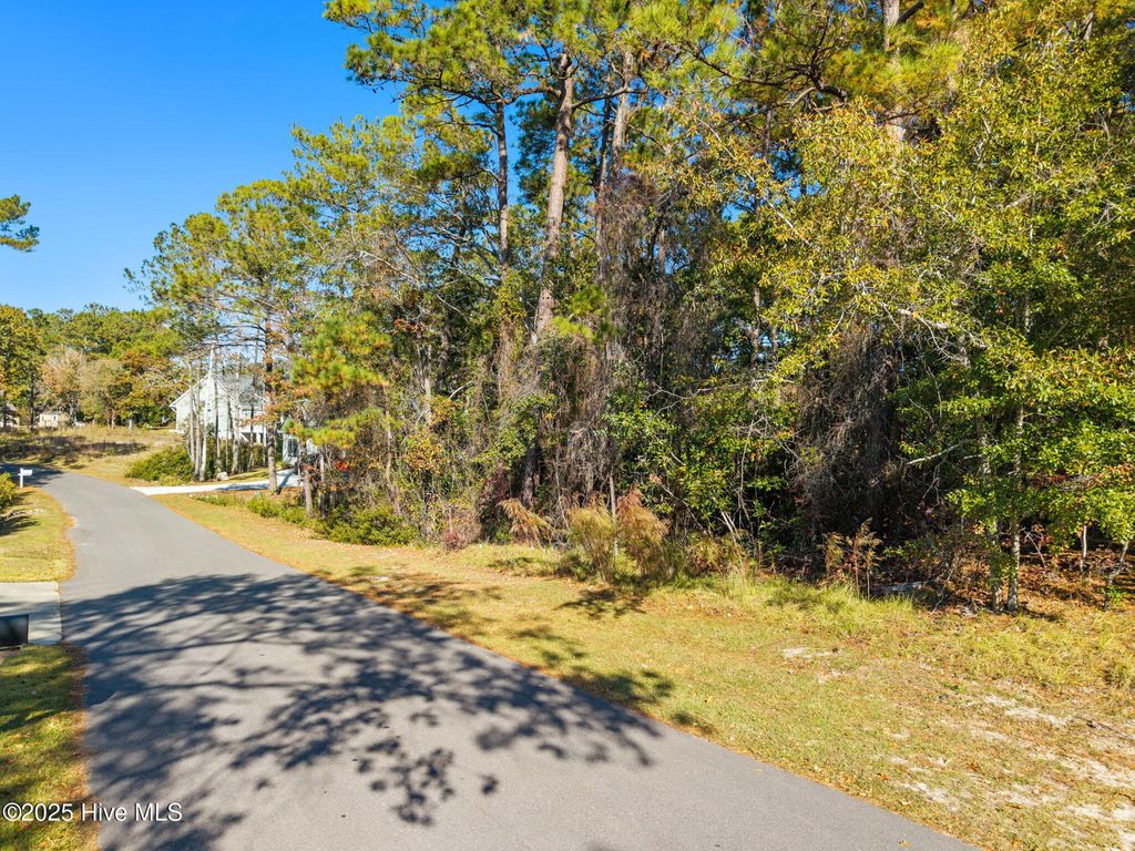 Photo of 3068 River Hills Drive SW, Shallotte, NC 28470 (MLS # 100542224)