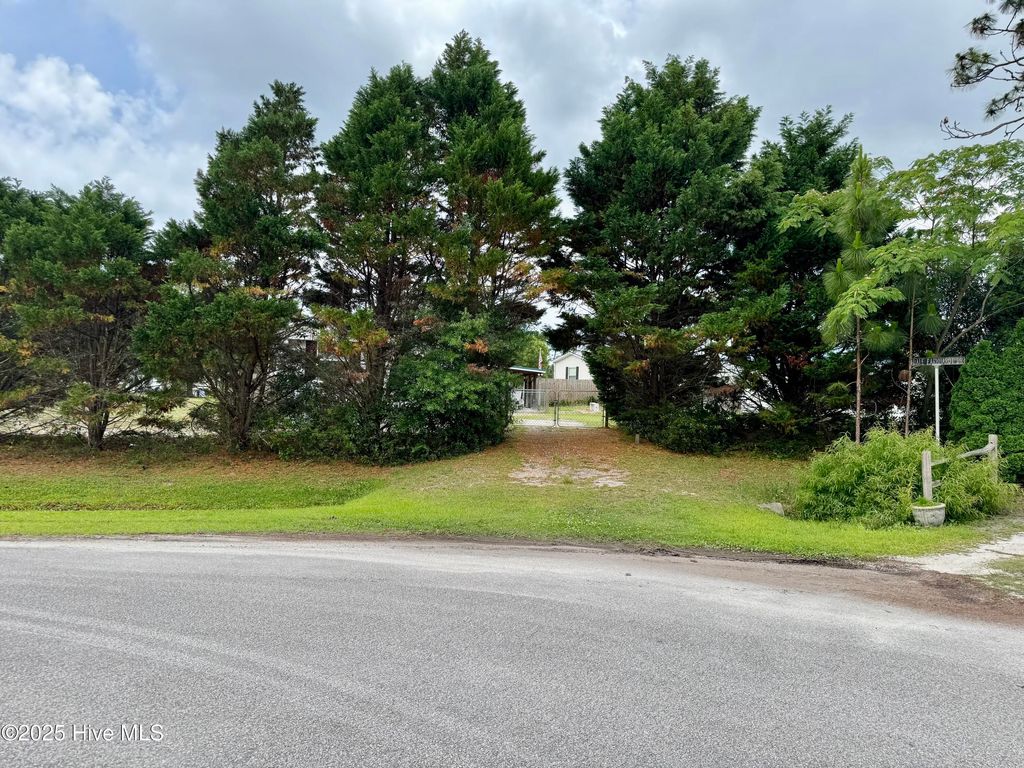 Photo of 153 Forest Line Drive, Bogue, NC 28570 (MLS # 100510516)