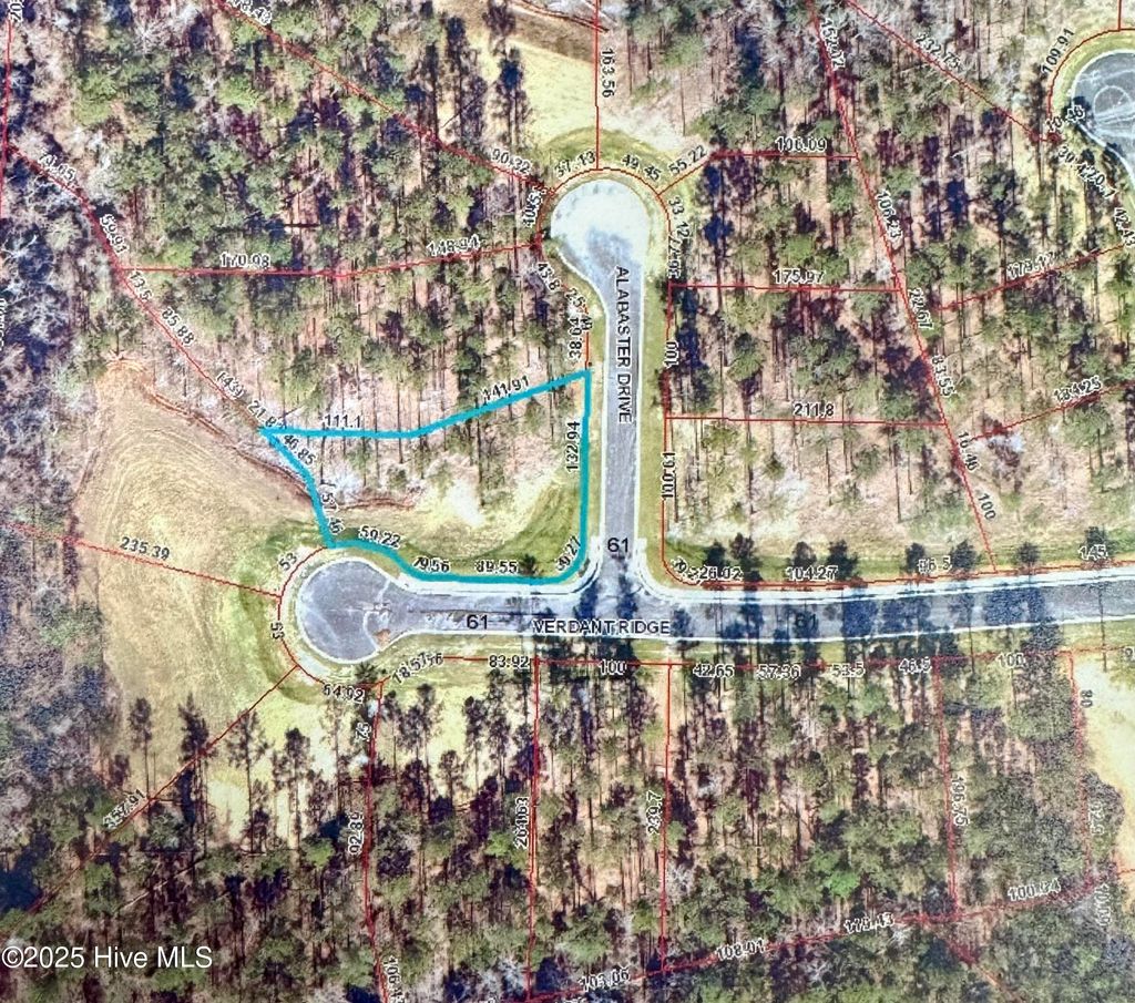 Photo of 1001 Alabaster Drive, New Bern, NC 28562 (MLS # 100485431)