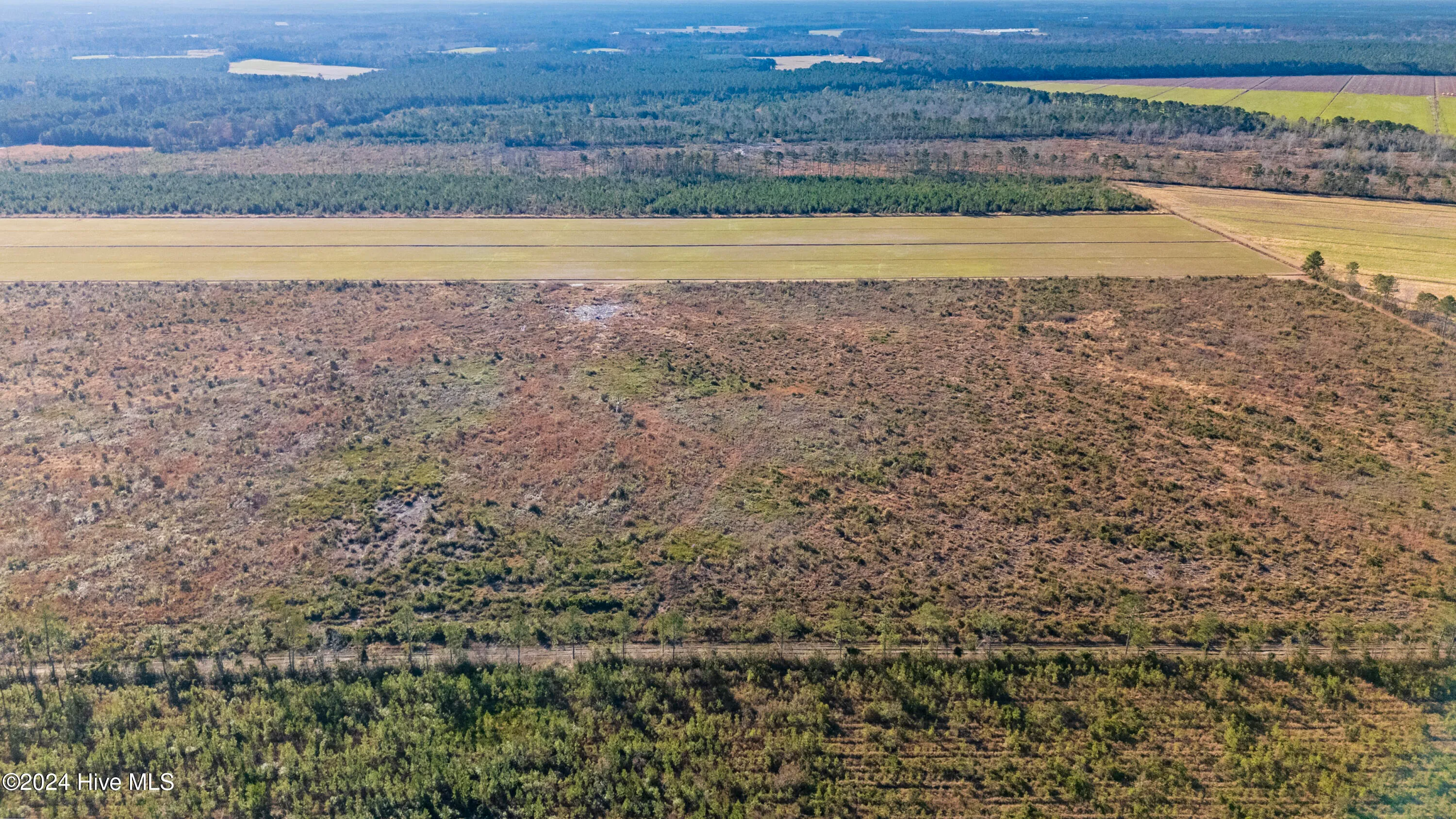 Willard, North Carolina 28478, United States, ,Land,Pending,27549