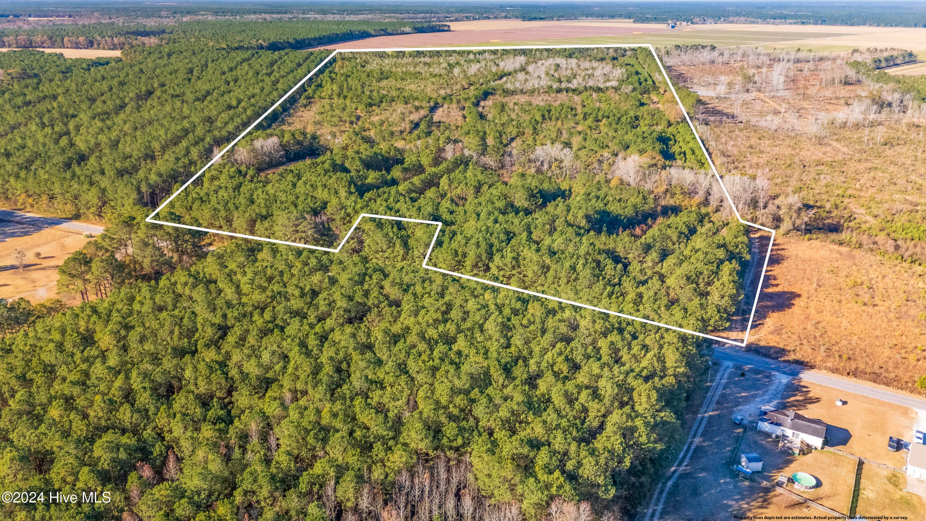 Willard, North Carolina 28478, United States, ,Land,Pending,27549