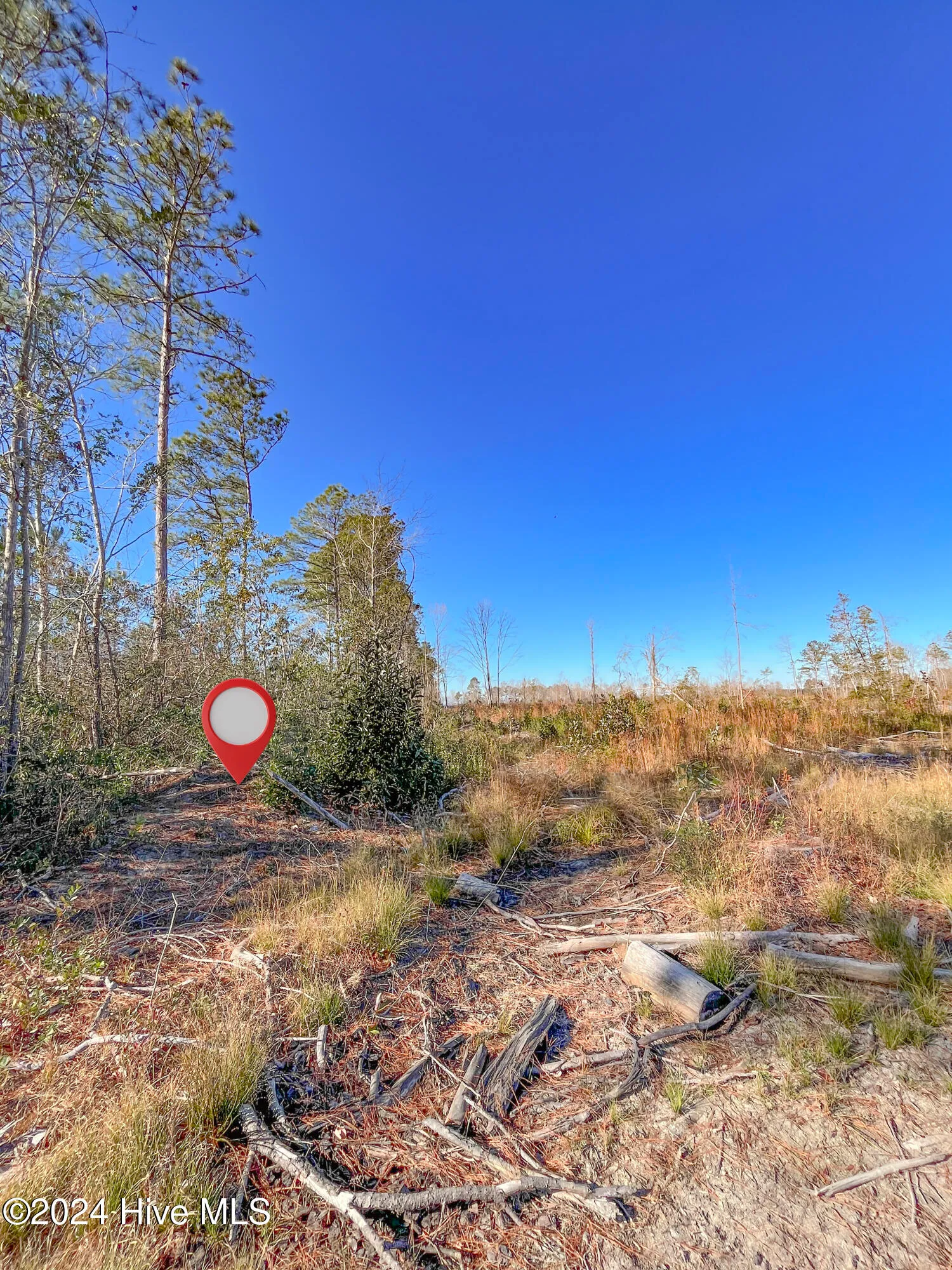 Willard, North Carolina 28478, United States, ,Land,Pending,27549