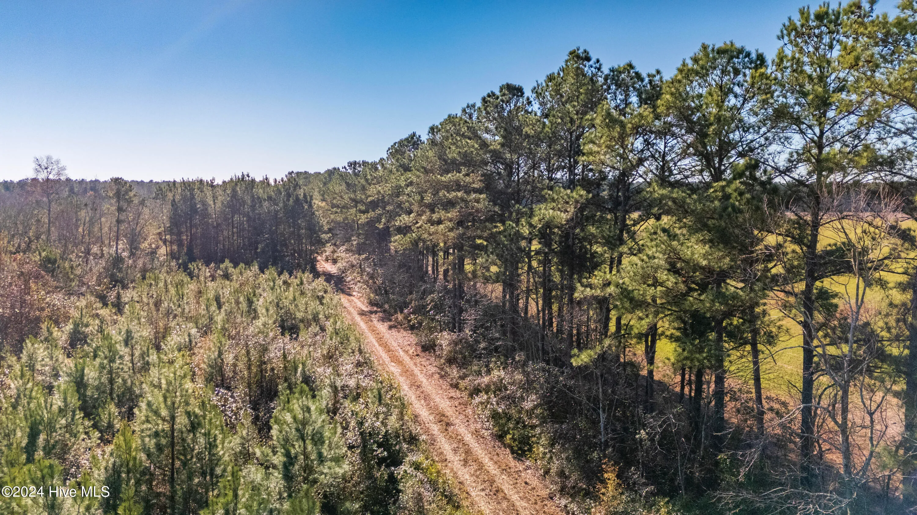 Willard, North Carolina 28478, United States, ,Land,Pending,27549