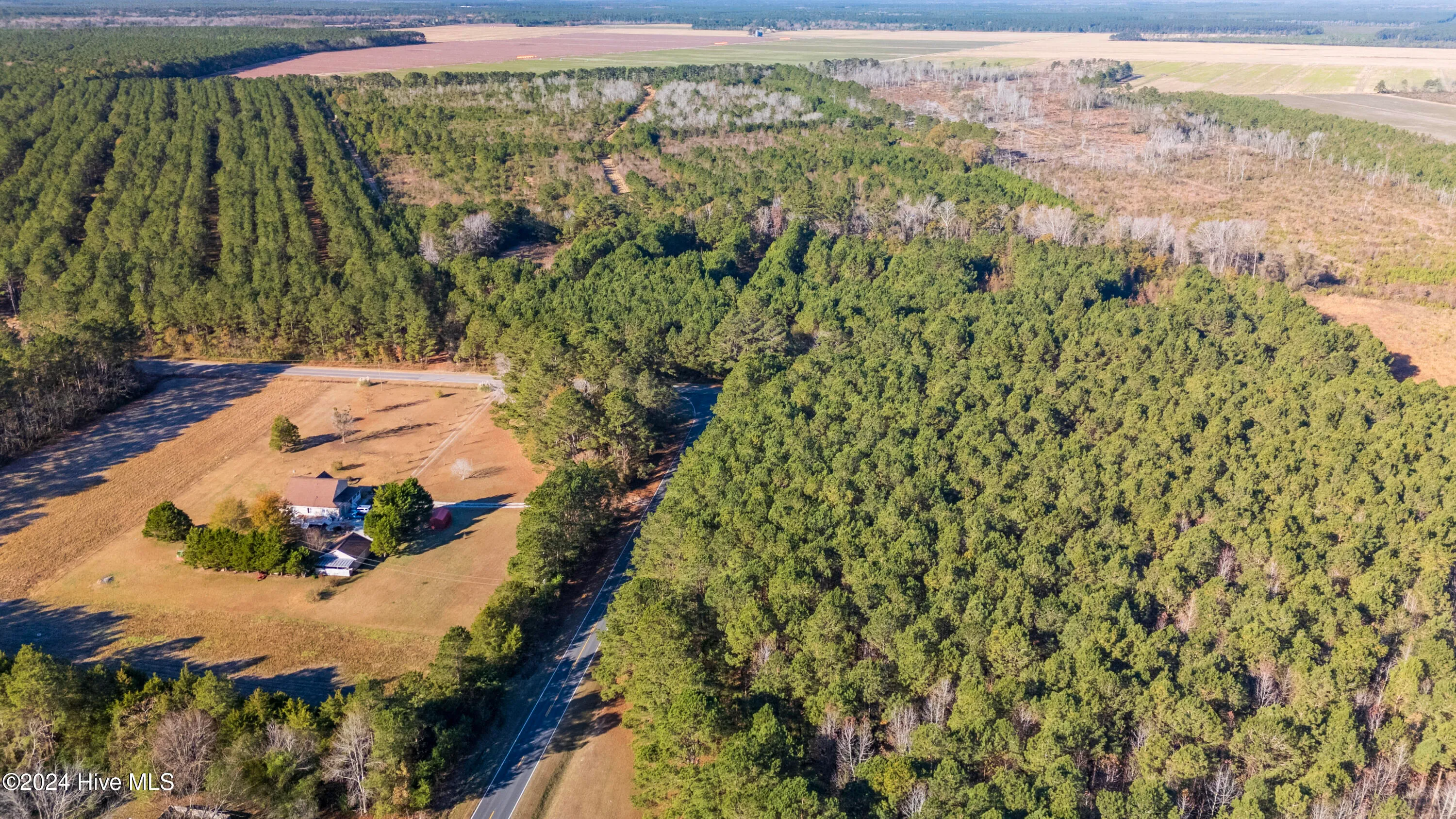 Willard, North Carolina 28478, United States, ,Land,Pending,27549