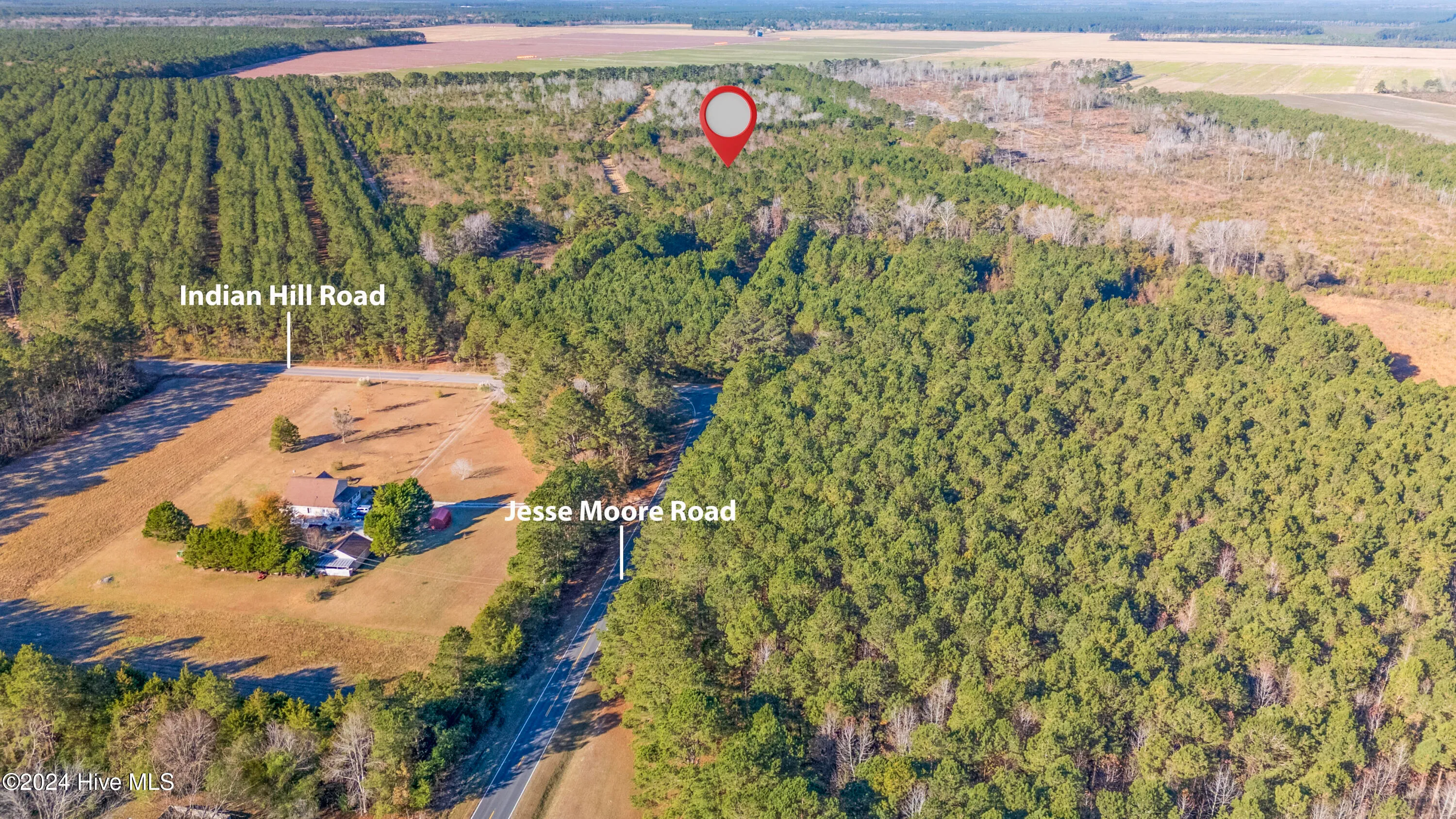 Willard, North Carolina 28478, United States, ,Land,Pending,27549