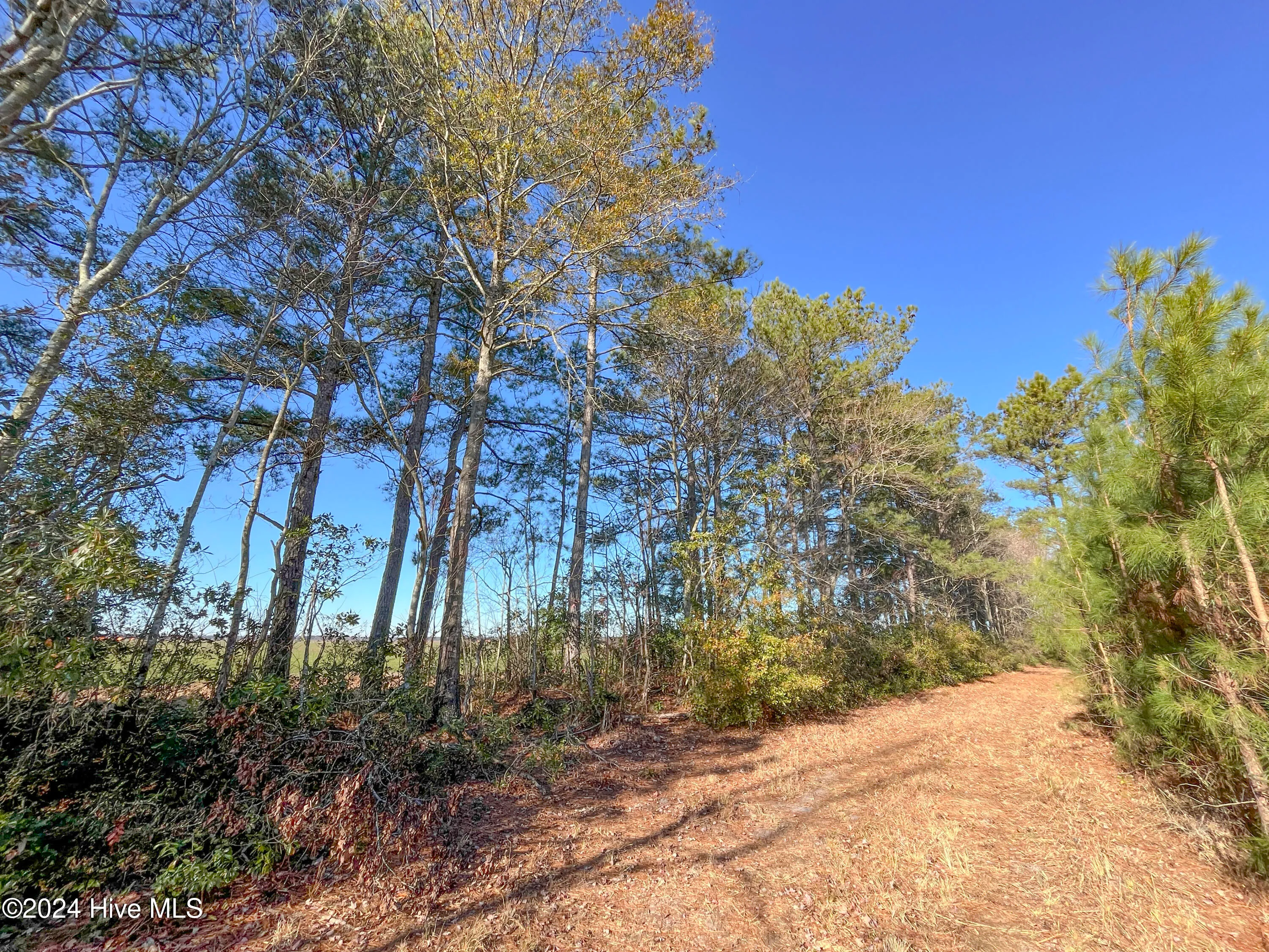 Willard, North Carolina 28478, United States, ,Land,Pending,27549