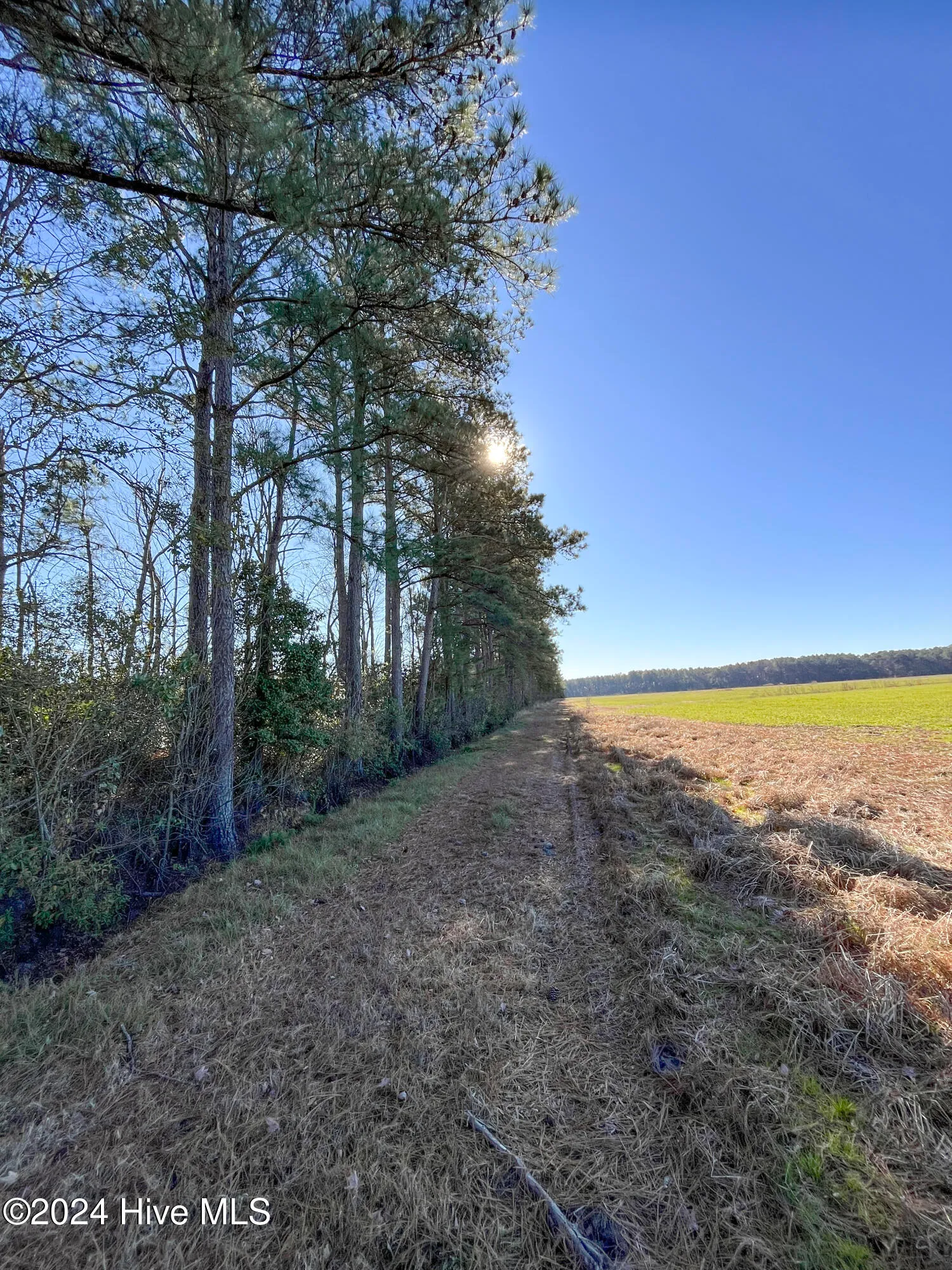 Willard, North Carolina 28478, United States, ,Land,Pending,27549