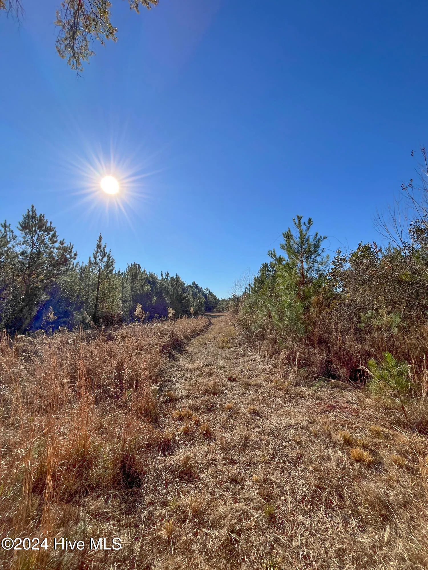 Willard, North Carolina 28478, United States, ,Land,Pending,27549