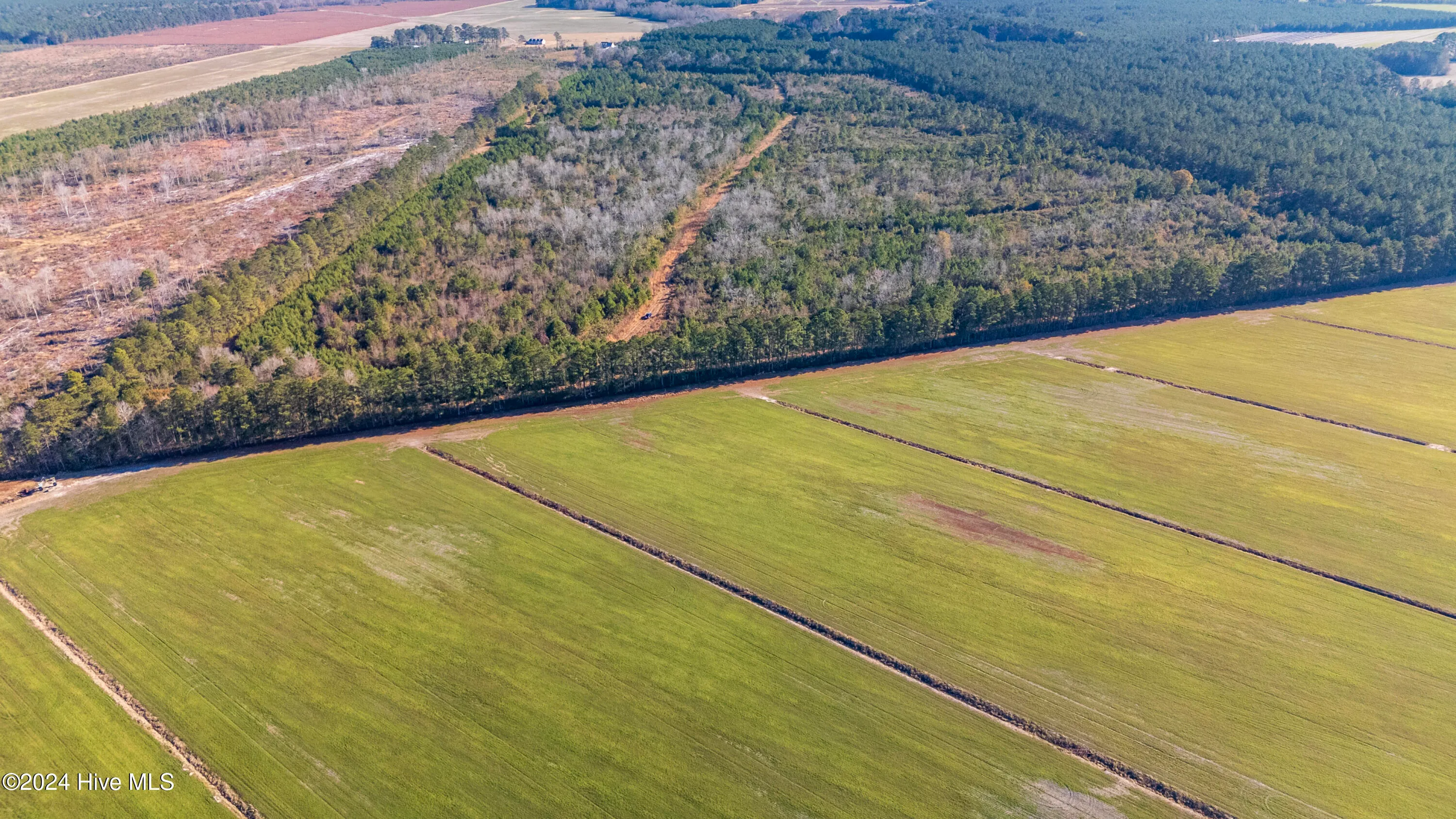 Willard, North Carolina 28478, United States, ,Land,Pending,27549