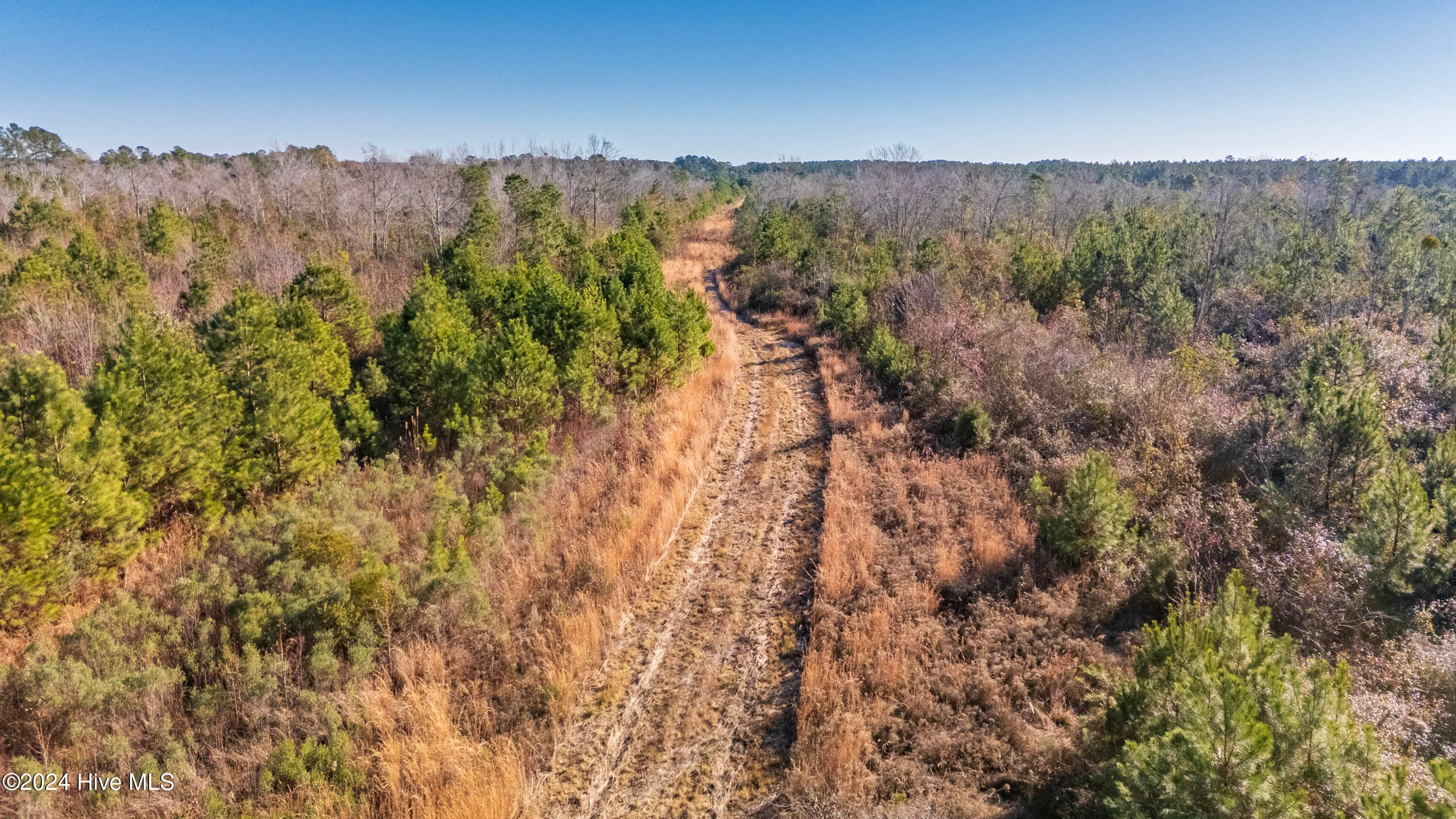 Willard, North Carolina 28478, United States, ,Land,Pending,27549