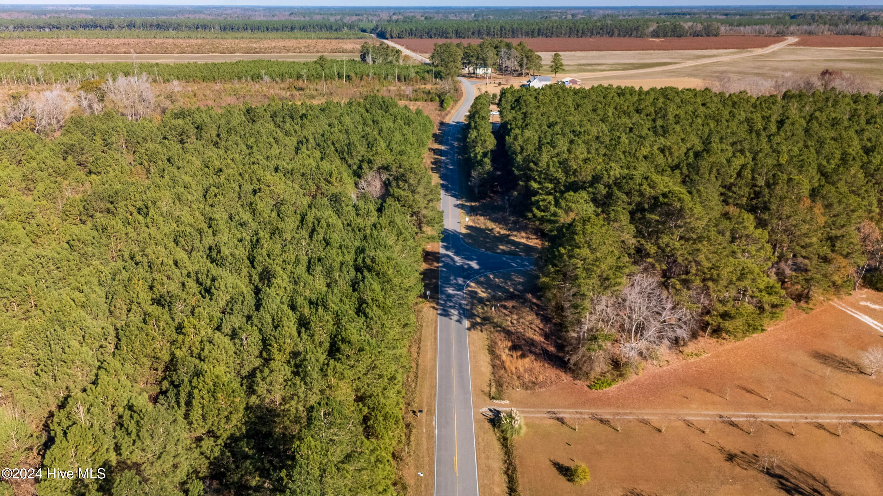 Willard, North Carolina 28478, United States, ,Land,Pending,27549