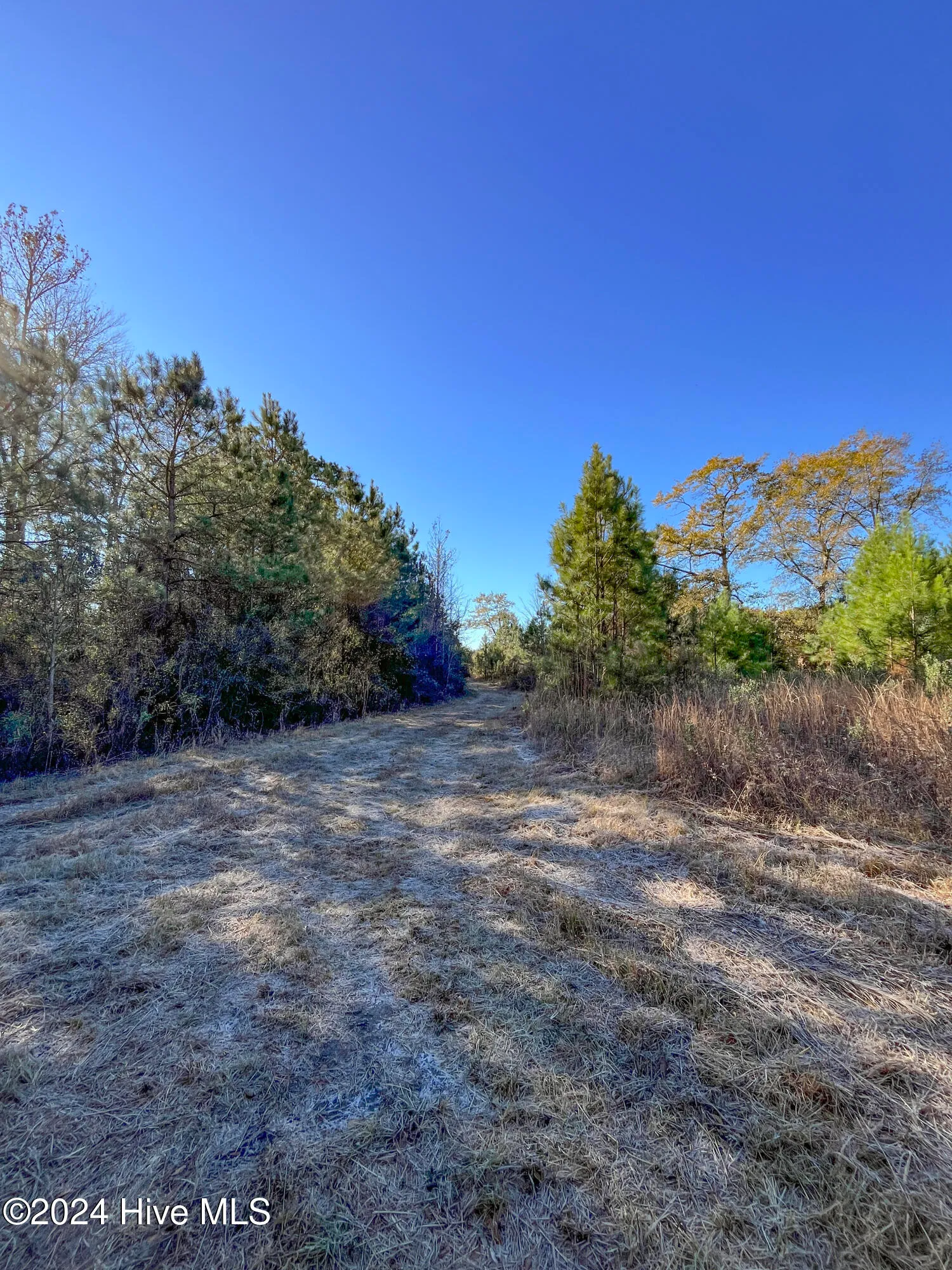 Willard, North Carolina 28478, United States, ,Land,Pending,27549