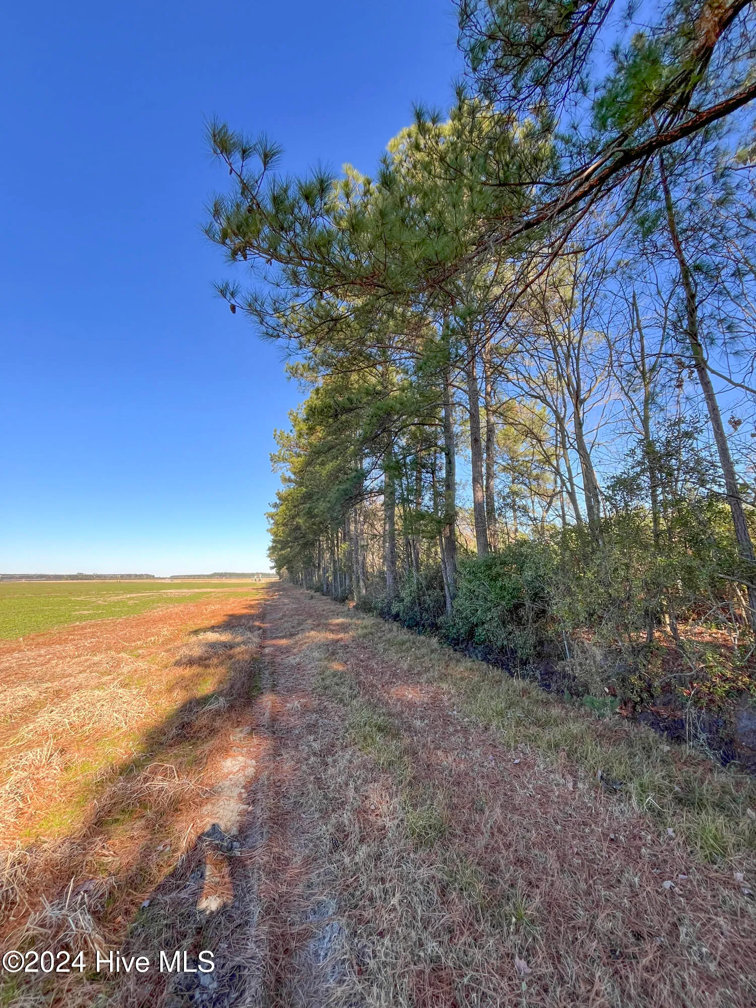 Willard, North Carolina 28478, United States, ,Land,Pending,27549