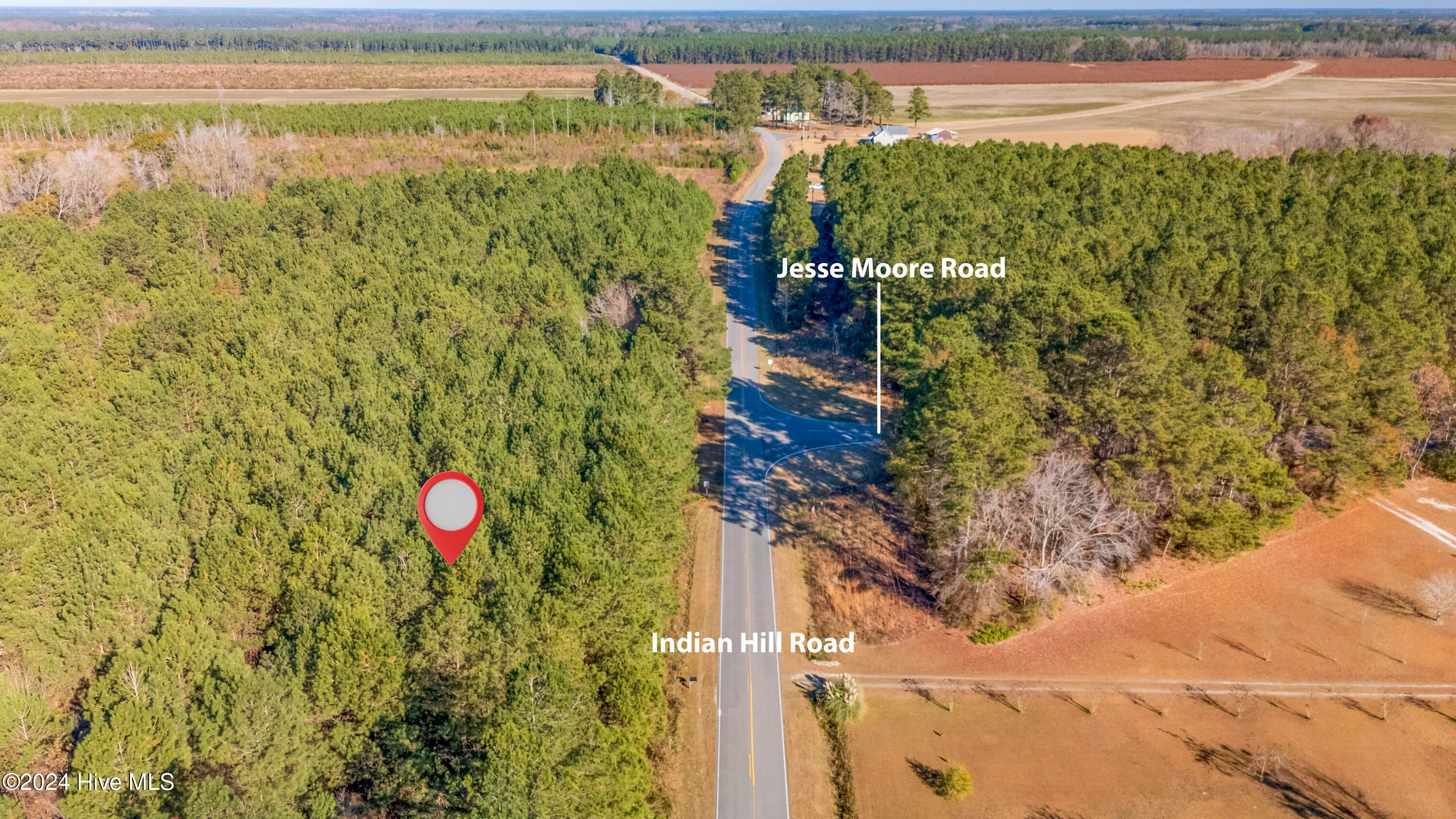 Willard, North Carolina 28478, United States, ,Land,Pending,27549