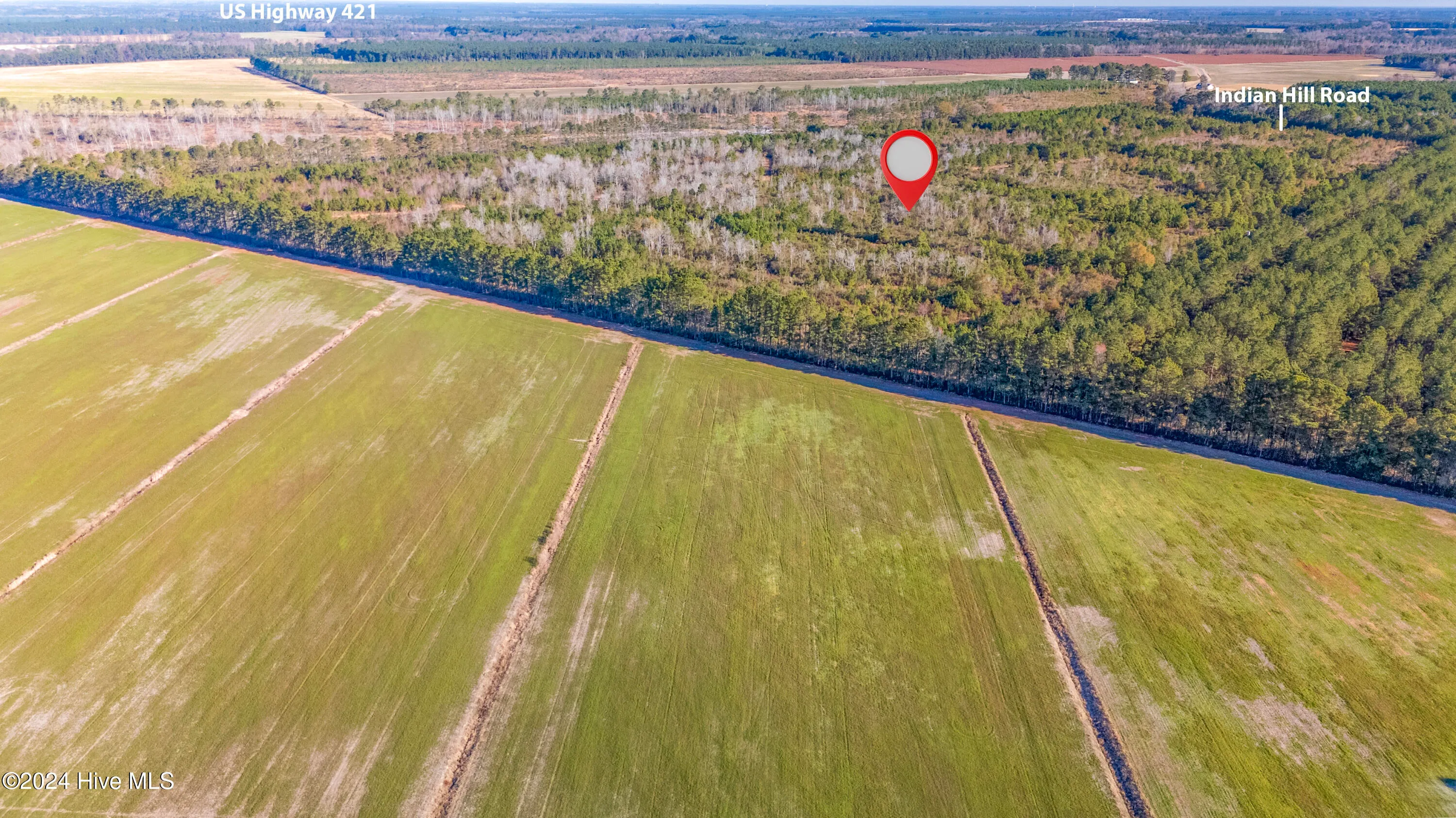 Willard, North Carolina 28478, United States, ,Land,Pending,27549