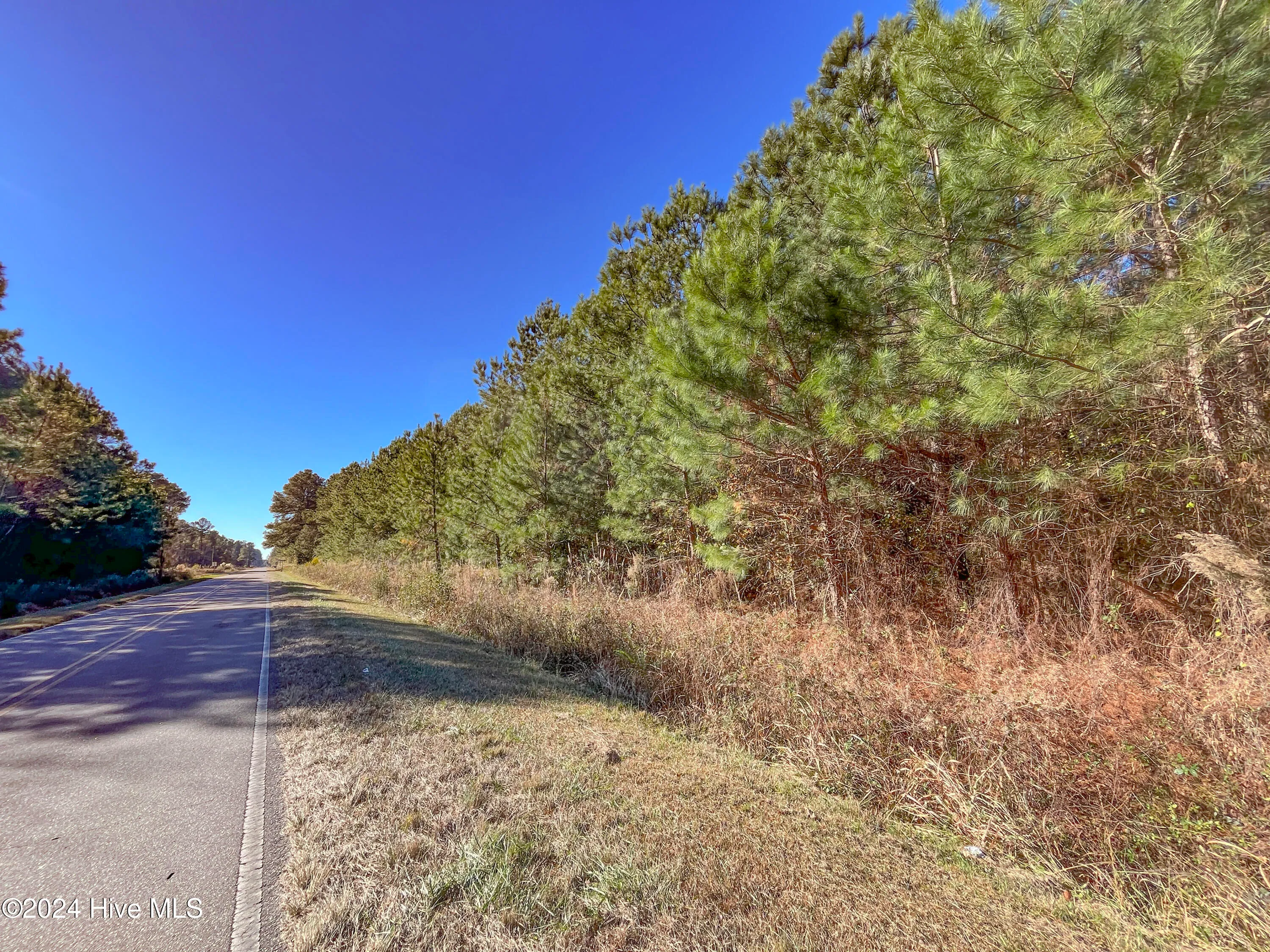 Willard, North Carolina 28478, United States, ,Land,Pending,27549